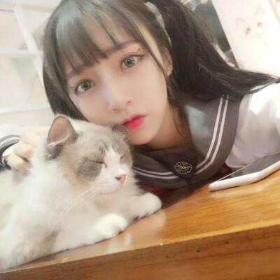 帮派传奇破解版下载